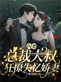 闪婚大叔总裁