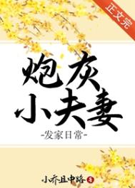 炮灰小夫妻发家日常小说阅读